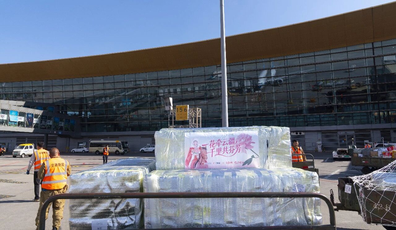 c913b06fb785011ab813df7f4e720931.jpg c913b06fb785011ab813df7f4e720931.jpg