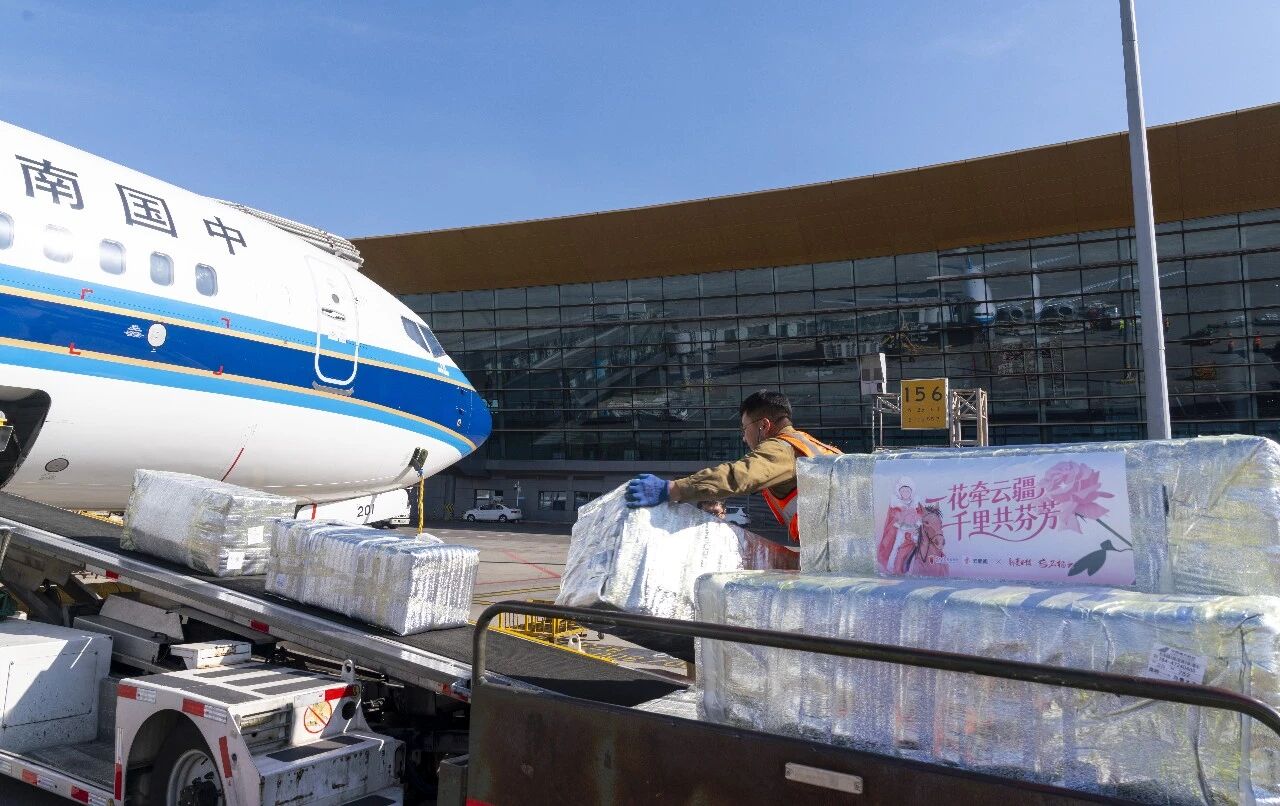 263efeae6cd346da79461b7335a60c72.jpg 263efeae6cd346da79461b7335a60c72.jpg